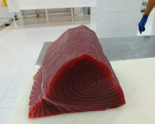 Product of PT Sari Segar Laut Indonesia - Tuna Loin Center Cutマグロロインセンターカット