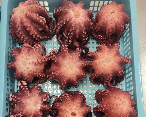 Product of PT Sari Segar Laut Indonesia - Octopus Flower Cutタコフラワーカット
